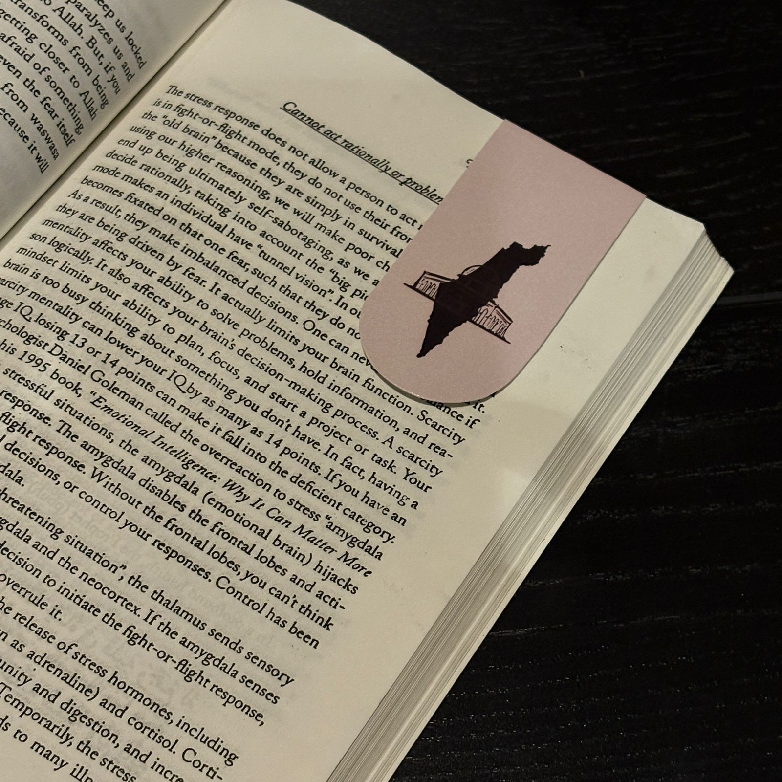 Magnetic bookmarks: Palestine themed