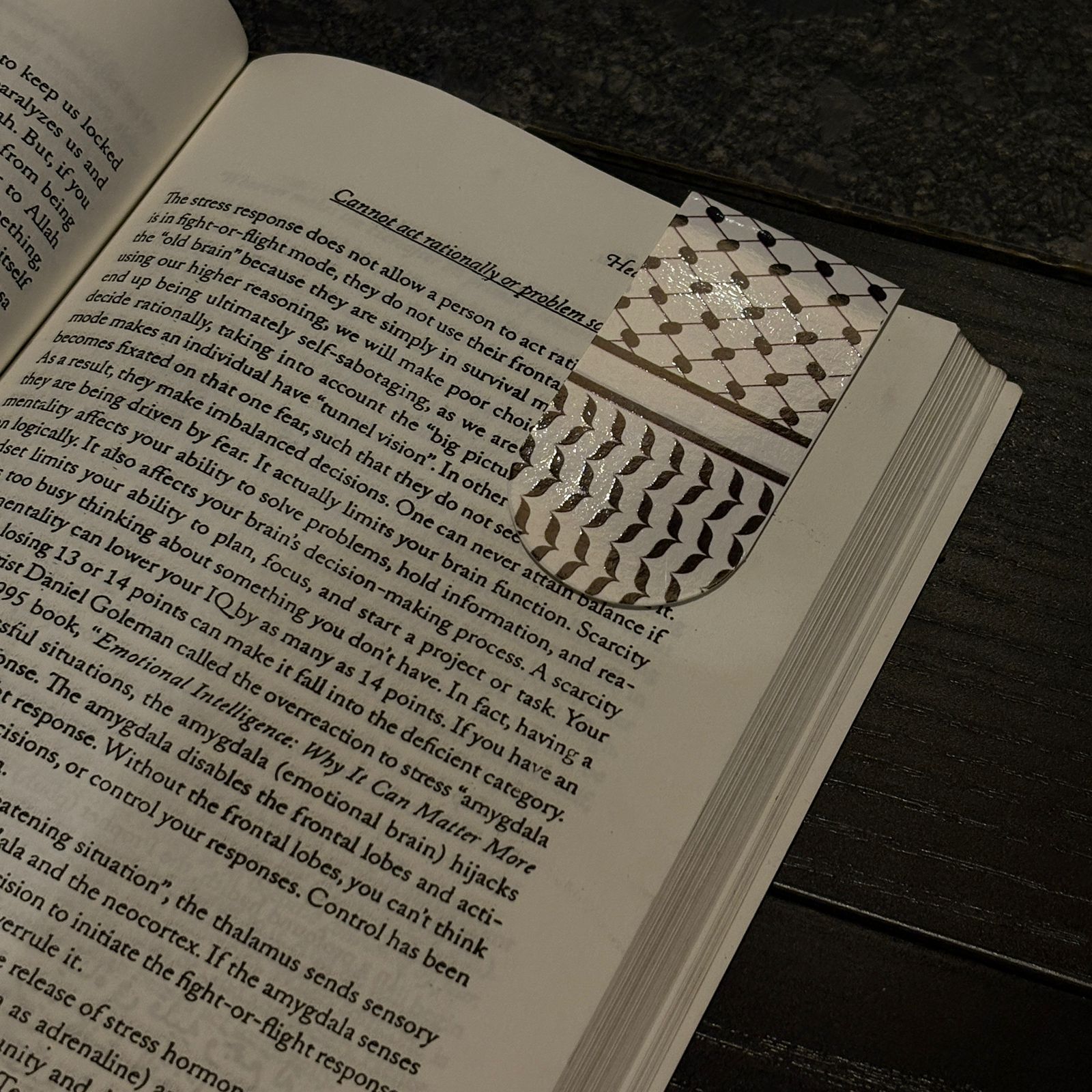 Magnetic bookmarks: Palestine themed