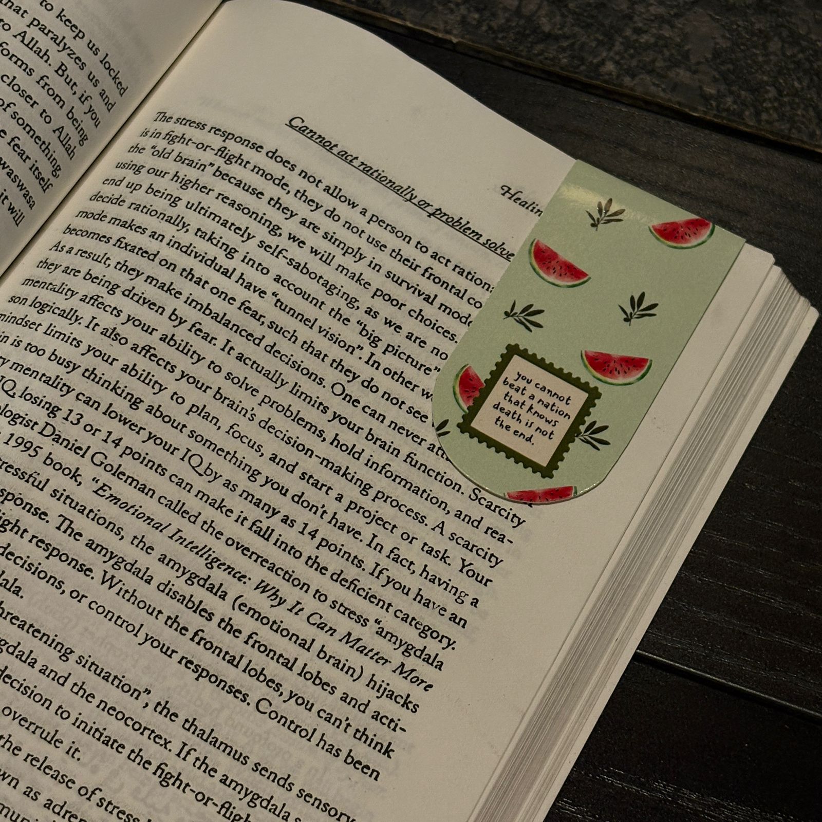 Magnetic bookmarks: Palestine themed